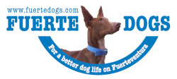 Fuerte Dogs